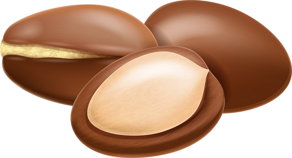 Argan nut whole and half split